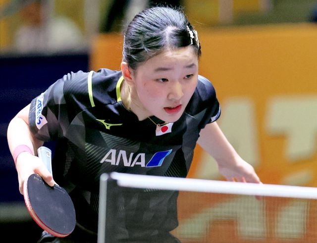 们提供了深 们提供了深