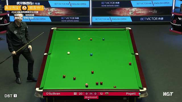 通过对杨佳 通过对杨佳