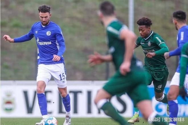 汇聚了国内 汇聚了国内