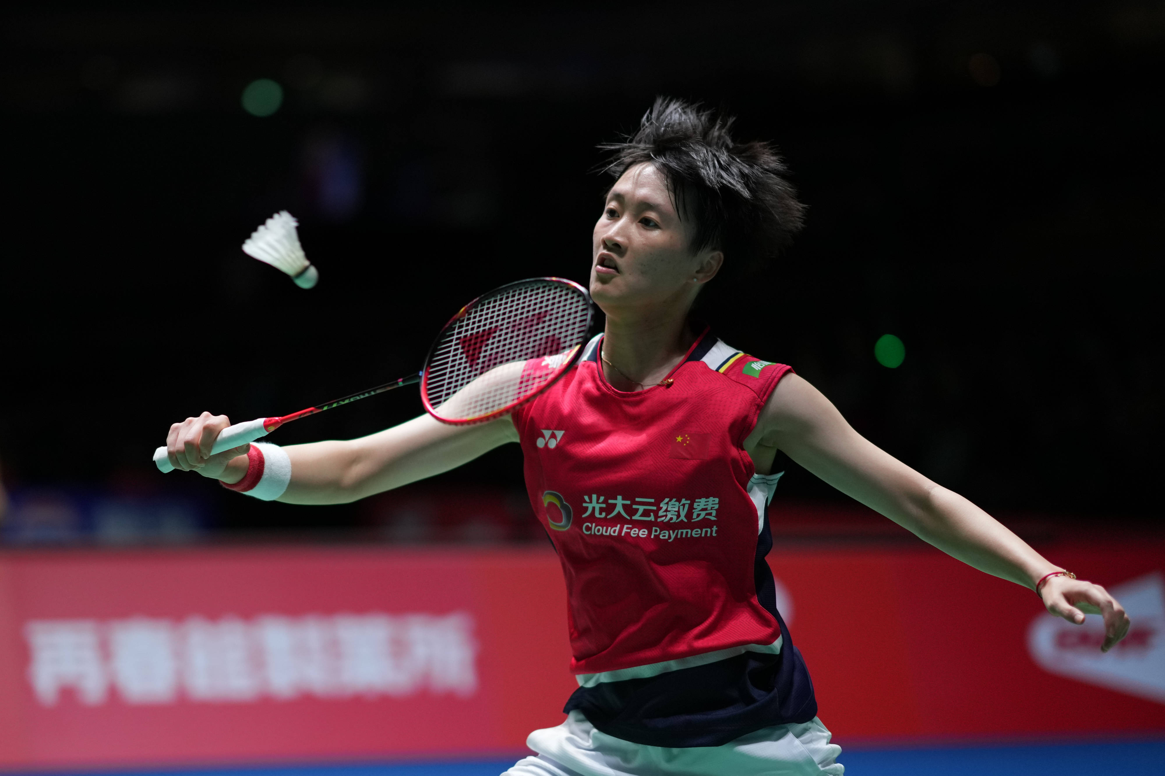 稳定因素 稳定因素